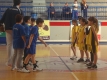 basket_201408_1